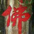 祥源
